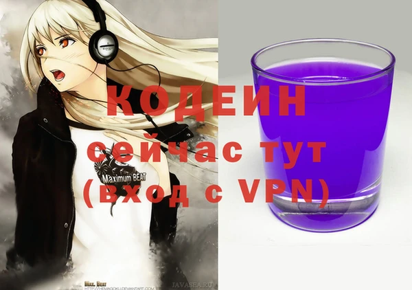 прущий лед Арсеньев