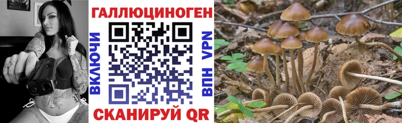 Купить где  Сурск  Псилоцибиновые грибы ЛСД 